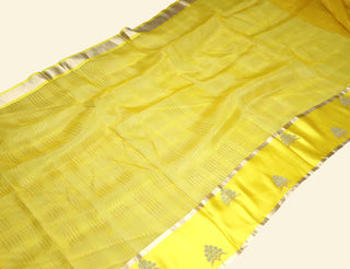 Pure Organza Handloom Banarasi Saree