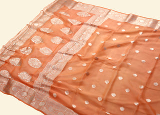 Pure Banarasi Handloom Georgette Saree