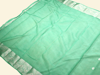 Pure Banarasi Handloom Georgette Saree