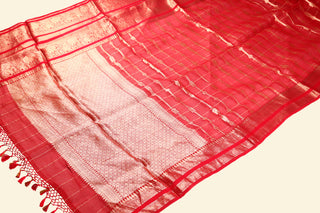 Pure Organza Handloom Banarasi Saree