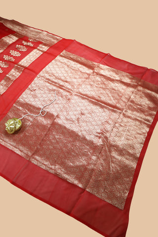 Pure Organza Banarasi Handloom Saree