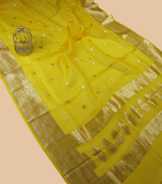 Pure Organza Banarasi Handloom Saree