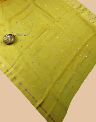 Pure Organza Banarasi Handloom Saree