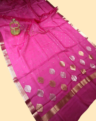 Pure Organza Banarasi Handloom Saree