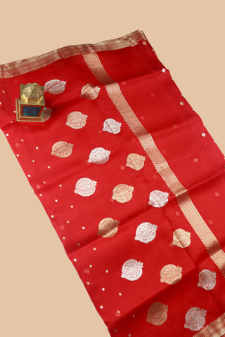 Pure Organza Banarasi Handloom Saree