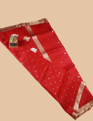 Pure Organza Banarasi Handloom Saree