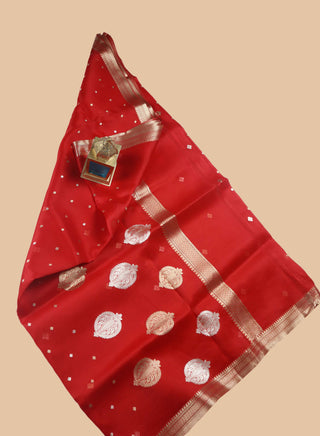 Pure Organza Banarasi Handloom Saree