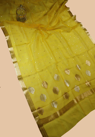 Pure Organza Banarasi Handloom Saree