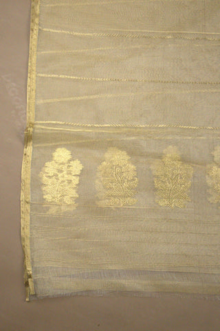Dupatta Pure Silk Tissue