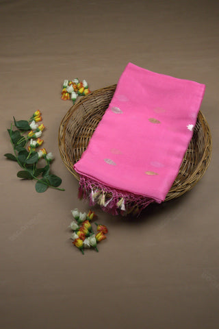 Saree Organza