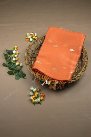 Saree Organza