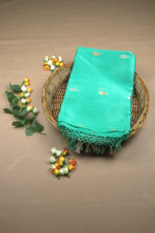Saree Organza