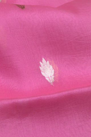 Saree Organza