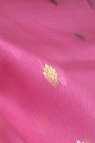 Saree Organza