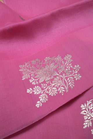 Saree Organza
