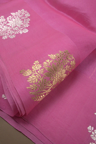 Saree Organza