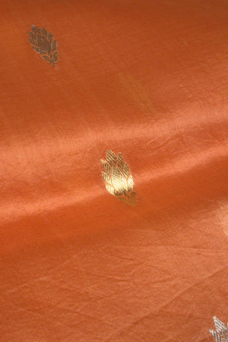 Saree Organza