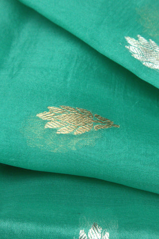 Saree Organza
