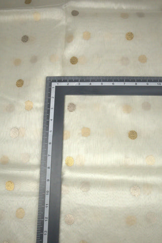 Than Organza Buti Border