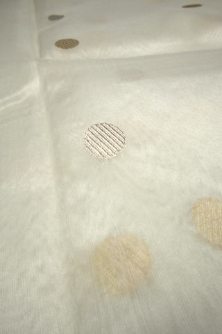 Than Organza Buti Border