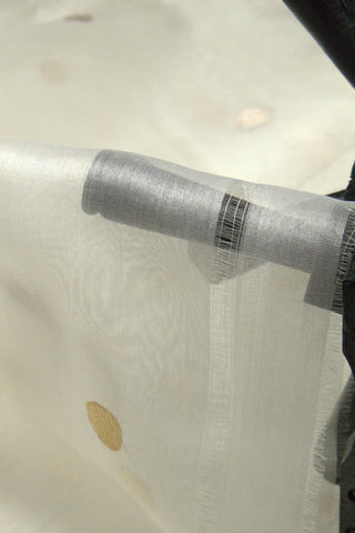 Than Organza Buti Border