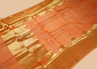 Pure Organza Banarasi Handloom Saree