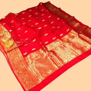 PURE ORGANZA HANDLOOM BANARASI SAREE